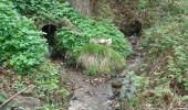 Excursión A pie Goldbach - Roter Hase, Rundwanderweg Glattbach (Waldspielplatz) - Photo 4