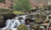 Tour Wandern Spa - 20230313 - Sauveniere 6.5 Km - Photo 4