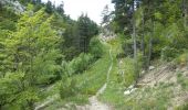Trail Walking Boulc - 2018-06-09 Diois - La Pare - Photo 3
