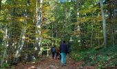 Tour Wandern Saint-Nizier-du-Moucherotte - Plateau Charvet (petite boucle) - Photo 3