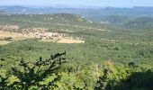 Tour Wandern Plan-d'Aups-Sainte-Baume - la Ste Baume  la grotte aux œufs  - Photo 1