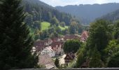 Excursión A pie Bad Teinach-Zavelstein - Der Teinacher - Photo 1