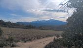 Excursión Senderismo Ille-sur-Têt - puig pedros  - Photo 16