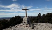 Randonnée Marche Cuers - Barre de Cuers - Photo 1