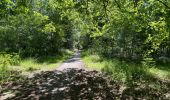 Randonnée Marche Vieux-Moulin - en foret de Compiègne_38_07_2021_sur la Route Eugénie - Photo 13