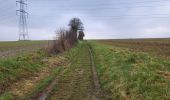 Trail Walking Sombreffe - Tongrinne 130225 - Photo 19