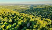 Randonnée A pied Gomadingen - Zugangsweg - Eichhalde (Markungsgrenze) - Bitz - Ruine Lichtenstein - Burren - Küche - Hermannsdorf - Photo 4