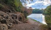 Trail Walking Pissotte - Lac de Mervent - Gd tour depuis Pissotte  - Photo 12