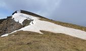 Trail Walking Sarrancolin - plo de Berdaoulou - Photo 3