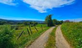 Trail Walking Durbuy - Balade à Villers Sainte Gertrude - Photo 16