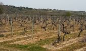 Trail Walking Val-du-Layon - saint Lambert Du Lattay  - Photo 5