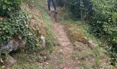 Trail Walking Coux - Coux Jaubernie Serre Gruas Azur  - Photo 9