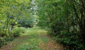 Tour Wandern Sivry-Rance - Taille du Laid, gare de Sivry, ravel, Bout de Sautin. - Photo 3