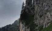 Trail Walking Saint-Pierre-de-Chartreuse - Petit Som par Bovinant - Photo 1