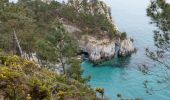 Tour Zu Fuß Crozon - Balade Sonore de l'Île Vierge - Photo 8