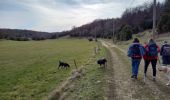 Trail Walking Léoncel - Pierre Chauve-Pas de St Vincent- Pas de Touet - Photo 6