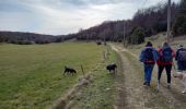 Excursión Senderismo Léoncel - Pierre Chauve-Pas de St Vincent- Pas de Touet - Photo 6