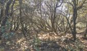Trail Walking Brignoles - l'Amarron - Photo 12