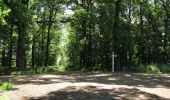 Randonnée Marche Rethondes - en forêt de Laigue_8_06_2020_les Routes des Bonshommes, de la Trouée des Bonhommes_Route forestière de Sainte-Croix - Photo 9