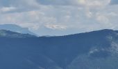 Randonnée Marche Rosans - Montagne de Raton au départ du col de Pommerol ou de la Fromagère - Photo 9
