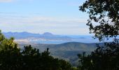 Trail Walking Roquebrune-sur-Argens - Col du Bougnon - Peigros - Photo 9