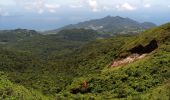 Trail Walking Saint-Claude - La Soufrière - Photo 18