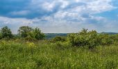 Randonnée A pied Gau-Algesheim - Hiwweltour Bismarckturm - Photo 9