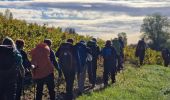 Trail Walking Vauxrenard - Itinérant Beaujolais rouge étape 6 Foretal - Macon gare TGV - Photo 10