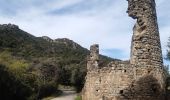 Tocht Stappen Laroque-des-Albères - Laroque-des-Albères, petit tour des mas  - Photo 8