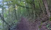 Tour Wandern Comblain-au-Pont - Comblain-au-Pont d´une rive à l´autre - Photo 8