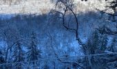 Trail Walking Waimes - Un grand tour depuis le Mont Rigi - Photo 2