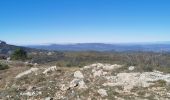 Trail Walking Signes - Mourre d'Agnis en partant de Signes - Photo 8