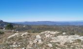 Excursión Senderismo Signes - Mourre d'Agnis en partant de Signes - Photo 8