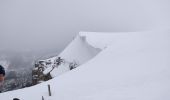 Tour Schneeschuhwandern Bouvante - fond'hurle - Photo 3