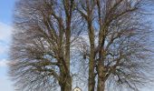 Tour Zu Fuß Geer - Promenade du Geer - Photo 5