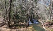 Excursión  Saint-Zacharie - Source de l’huveaune - Photo 10