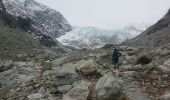 Trail Walking Evolène - glacier mont miné  - Photo 6