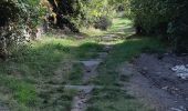 Randonnée Marche Montpeyroux - SUR LE CHEMIN DE L'ARKOSE - Photo 17