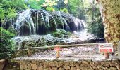 Tour Wandern Gémenos - Parc de St Pons anc. Glacière - Photo 5