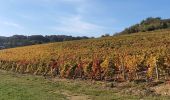 Tour Wandern Givry - Boucle de Givry à Russilly - Photo 10