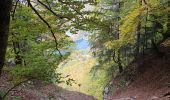 Tour Wandern La Vernaz - Pont du Diable - La Touvière - Lac du Jotty - Photo 4