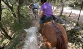 Trail Horseback riding Lauris - Provence 2025 J1 - Photo 6