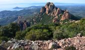 Trail Walking Saint-Raphaël - Pk Belle Barbe - Baisse des Sangliers - Pic Cap Roux - Grotte St Honorat - Photo 5