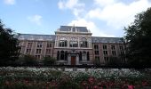 Excursión A pie La Haya - Groen met historie - Photo 10