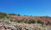Tour Nordic Walking Le Puech - Lac du Salagou - Les Vailhés - L'Auverne - Les Vailhés - Photo 9