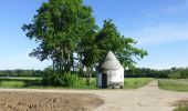 Tour Zu Fuß Gernsheim - Rundwanderweg Gernsheim Stockweg 5: Winkelbach-Weg - Photo 1