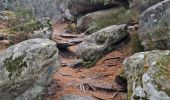 Trail Walking Fontainebleau - Fontainebleau - Sentier des carriers - Photo 20