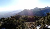 Trail On foot Municipal Unit of Acharnes - Καταφύγιο Φλαμπούρι - Μακρυχώραφο Κατσιμιδίου - Photo 3