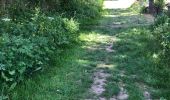 Trail Walking Anthisnes - Vien adeps 11Km - Photo 1