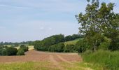 Tour Zu Fuß Aubel - Balade de la Bel - Photo 6